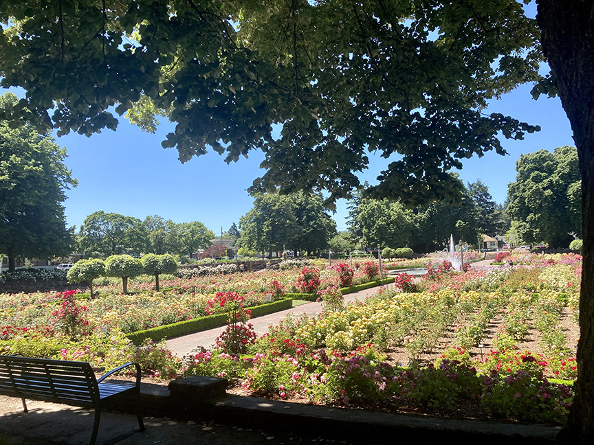 Garden of Beauty and Peace